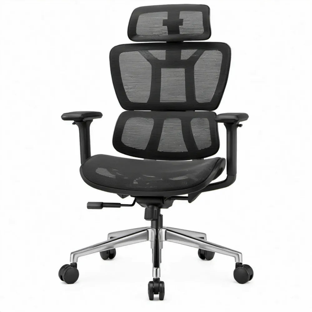 Ergonomische verstelbare stoel met hoofdsteun en lendensteun, zwart/zilver, 66 x 66 x 118-128 cm